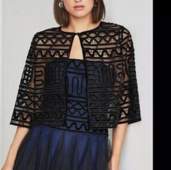 Bcbgmaxazria Strapless Embroidered Lace Navy Tulle Gown Size 4 - Picture 9 of 11